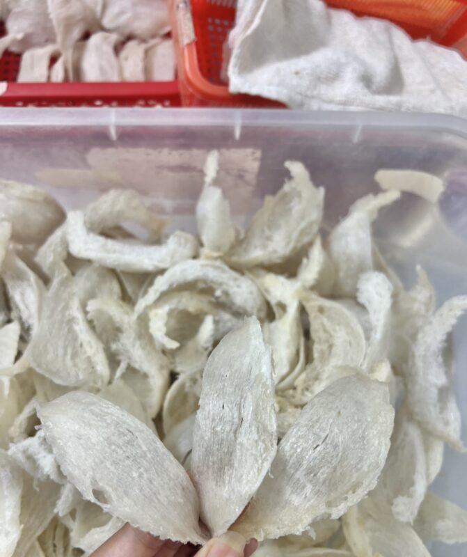 Yến rút lông khô sau khi sấy